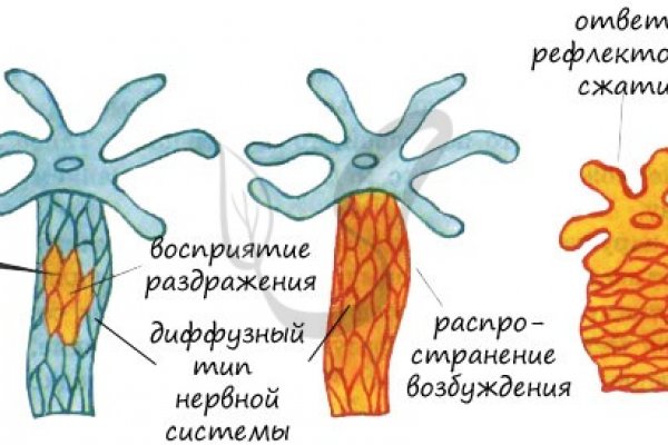 Чаты мега ссылки